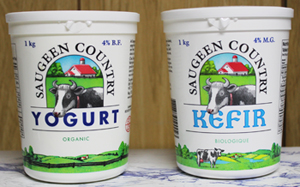 Yogurt & Kefir